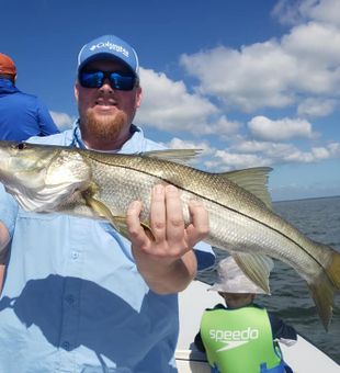 Strong Snook action on the Florida Gulf!