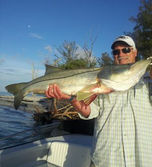 Big Fat Snook! - Saint James City, FL.