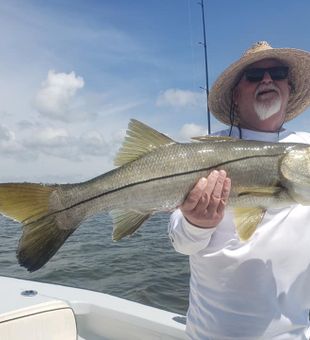 Massive Snook on light tackle gear!