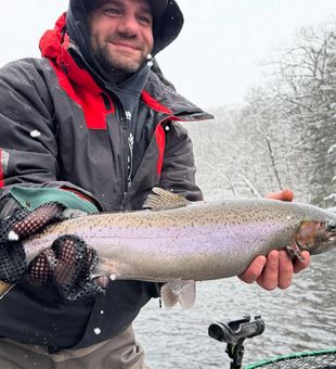 Snowy day, steelhead play! ❄️🎣