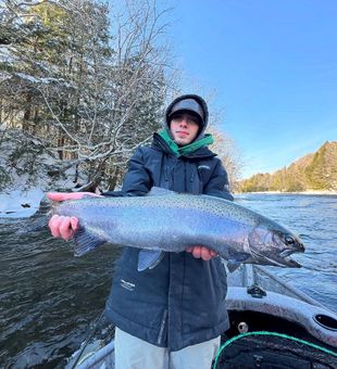Beautiful Coho salmon from Mexico NY waters!