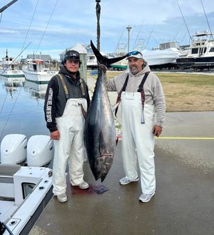 Epic bluefin tuna landed in Rehoboth Beach waters!