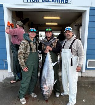 Massive bluefin tuna ready for cleaning in Rehoboth Beach!