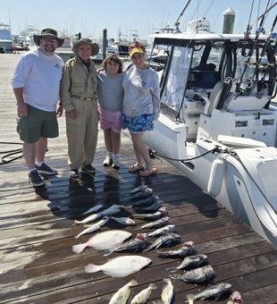 Loaded flounder and seabass haul today.