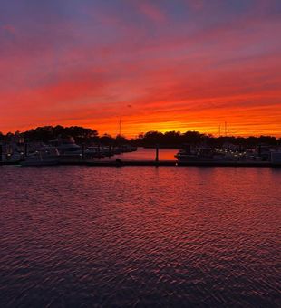 Reel in trophy fish with our Delaware fishing charters departing from Rehoboth Beach