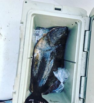 Flounder fishing in New England
