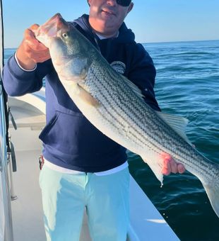 Solid striped bass morning bite.