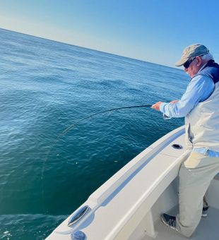 Hooked up on a strong striped bass.