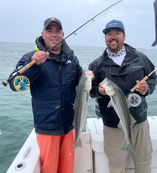 Striper season kicking off strong