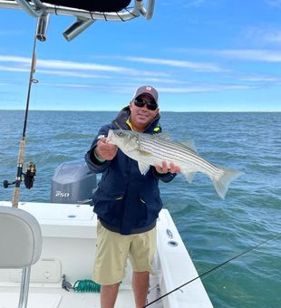Reeling in stripers on the Jersey coast