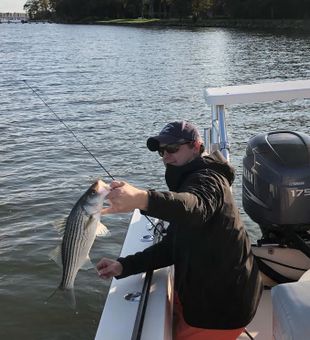 Reeled a Striper in Keansburg, NJ