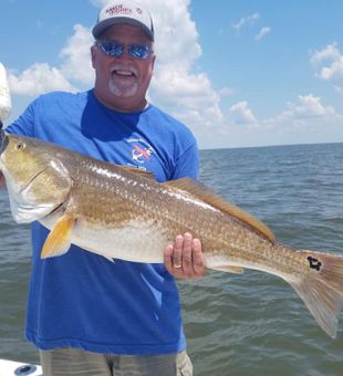 Redfish for the win!