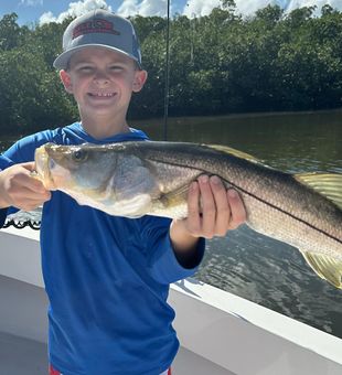 Snook Sensation: Florida Fishing