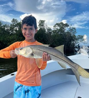 Naples Fishing: Snook Specialties