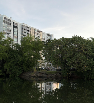 Perfect conditions for jigging and fly fishing with light tackle in San Juan.