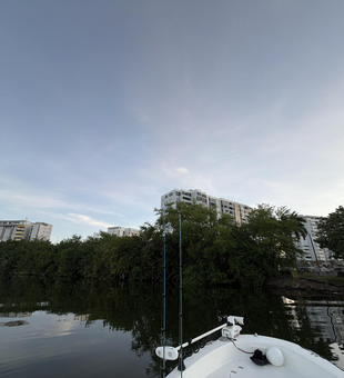 Perfect conditions for jigging and fly fishing at the ramp today!