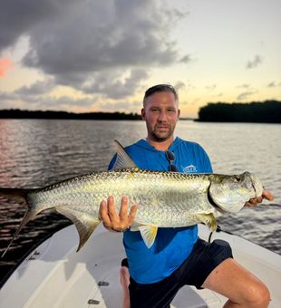Prime tarpon from San Juan waters!