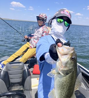 Sunny day bass catch on O.H. Ivie