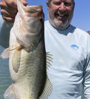 Solid Largemouth Bass on O.H. Ivie Lake