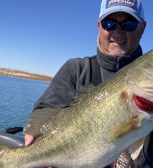 Chunky Largemouth Bass on O.H. Ivie