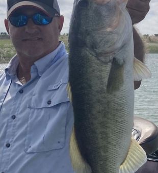Impressive Largemouth Bass from O.H. Ivie