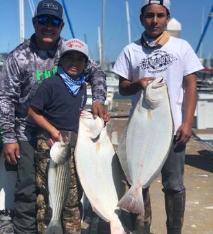 Large Halibut Caught in California 2022