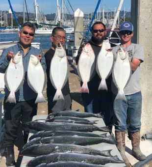 Halibut Season California