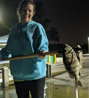 Sheepshead Gigging In Florida