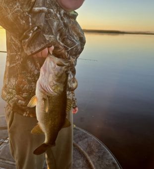 Bass Fishing Fun