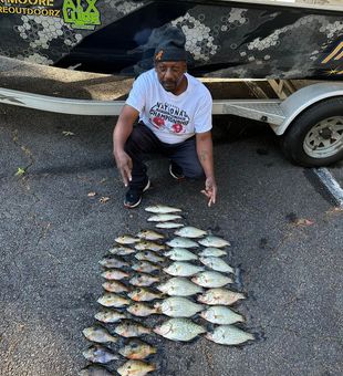 Lake Allatoona : Crappie Fishing!