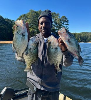 Reel Prized Catches in Lake Allatoona : Crappie!