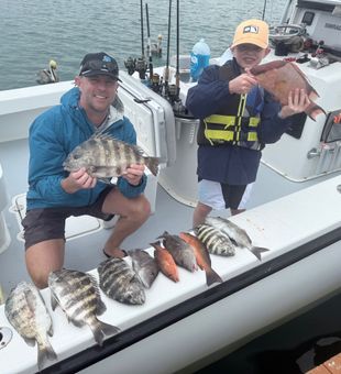Loaded up with Cortez sheepshead and mixed species!