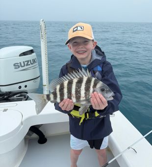 Nice Cortez sheepshead from today's fishing tour!