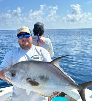 Permit Caught Off Of Sarasota 