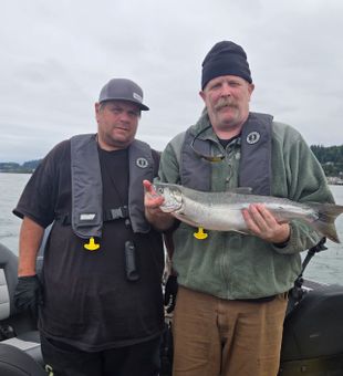 Beautiful Clackamas Coho salmon makes for perfect fishing success!