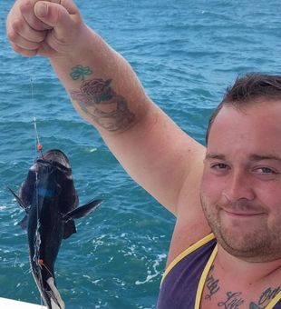 Black Sea Bass fun on Narragansett Bay.