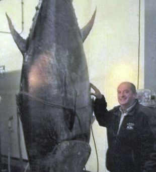 Giant Bluefin Tuna success with Narragansett Bay Sportfishing.