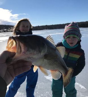 The calm of winter, the pull of the line