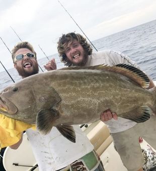 Reel in Fun and Grouper on Sarasota's Waters