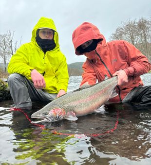 Rainbow trout: worth the wait!