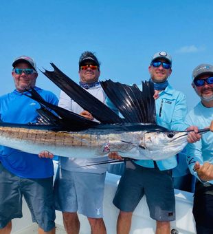 Sailfish in Islamorada, FL