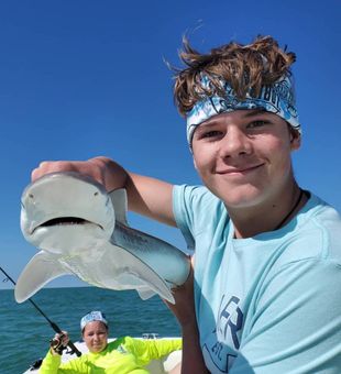 Shark in Islamorada, FL