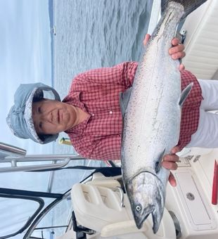 Beautiful Seattle Chinook salmon ready for the cooler!