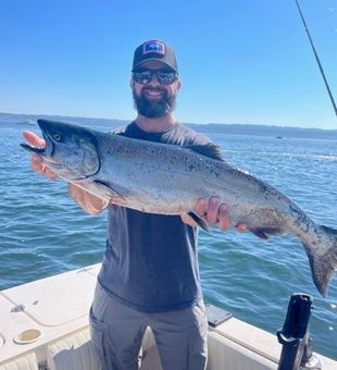 Beautiful Seattle Chinook salmon ready for the cooler!