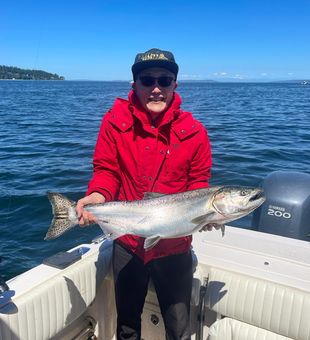 Beautiful Coho salmon caught in Seattle waters!