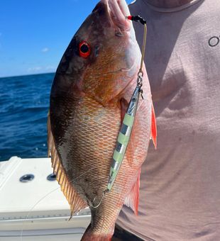 Boca Raton fishing at its best!