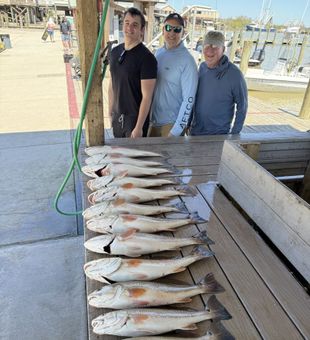 Redfish are biting  - Myrtle Grove, LA.