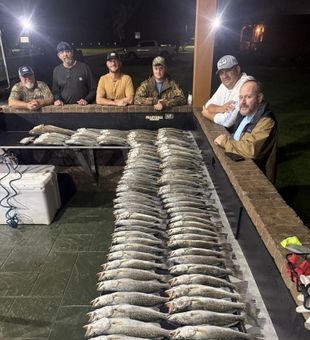 What a Haul!  - Myrtle Grove, LA.