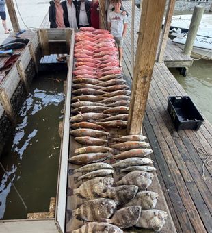 Incredible Port Sulphur haul filling the entire dock!