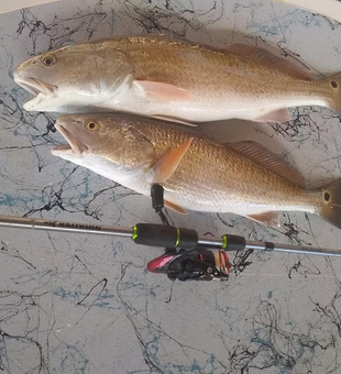 Successful morning on a Port Mansfield fishing charter with Cast With Luie